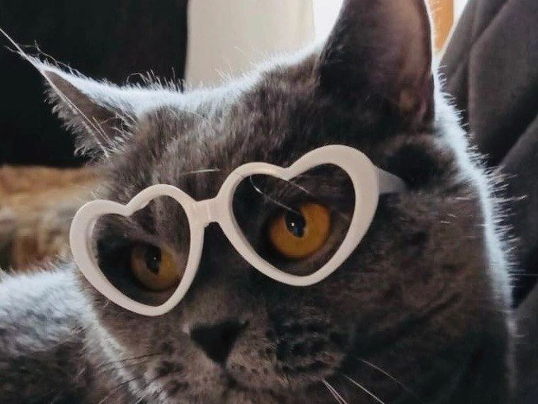 We put the glasses on. She looks like it was her idea.