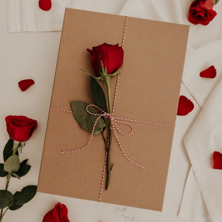 A card with a red rose and petals