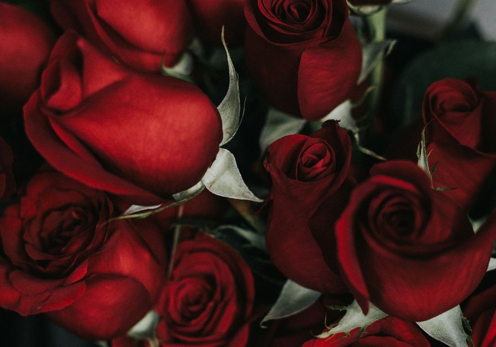 Bought without an occasion, which is why they are remembered.